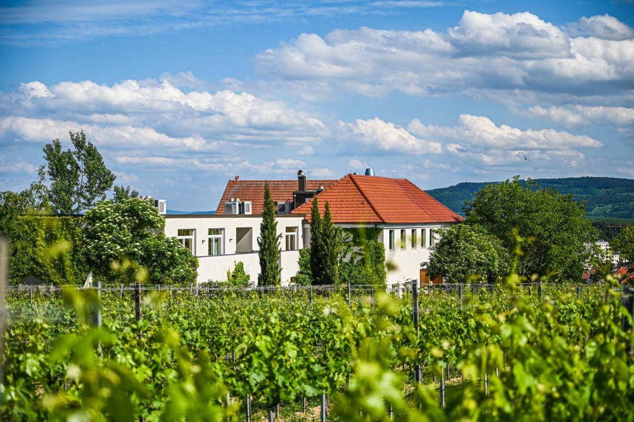Отель Wirtshaus Leindl Кремс на Дунае Экстерьер фото